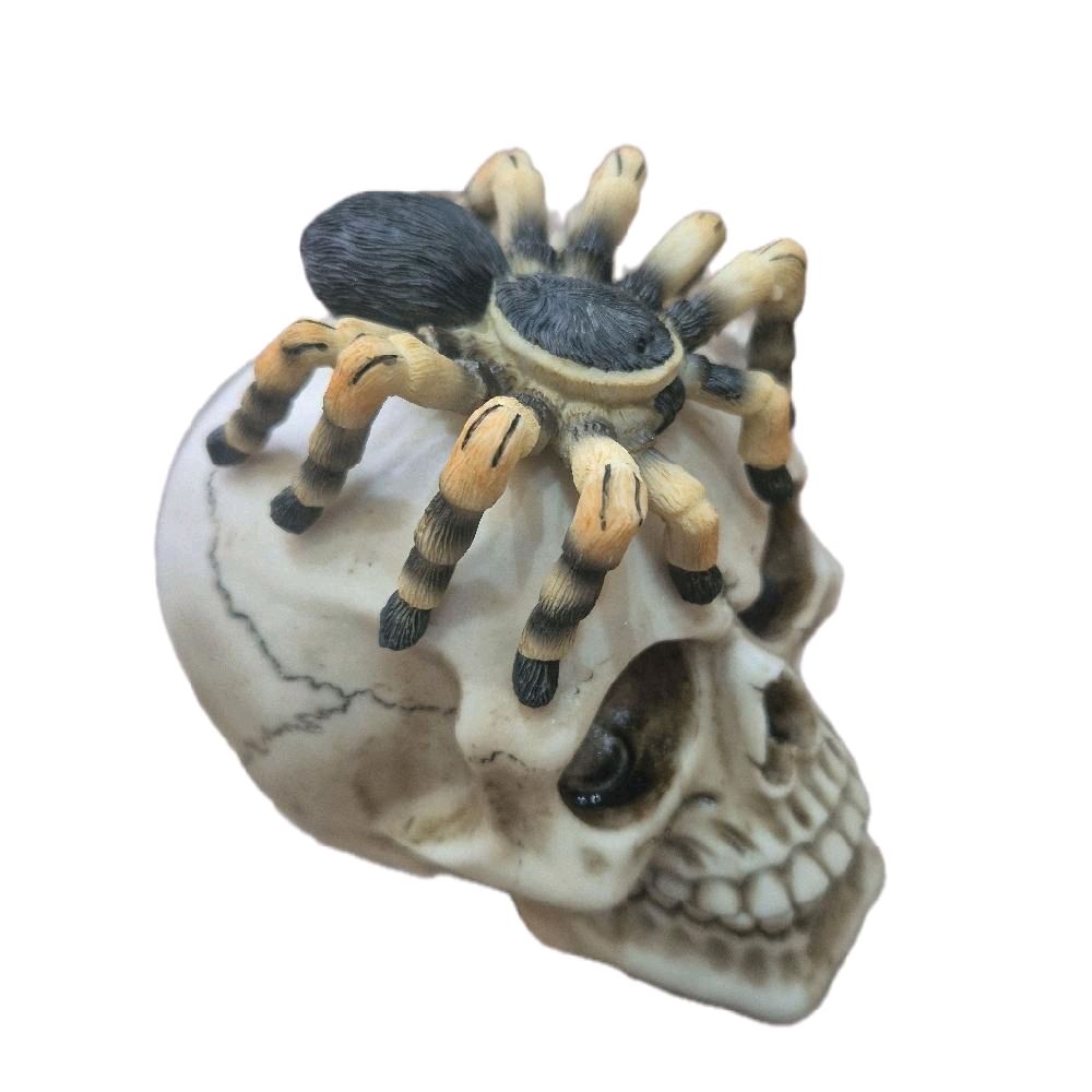 Skull with Spider Ornaments for Home Decor Decorative