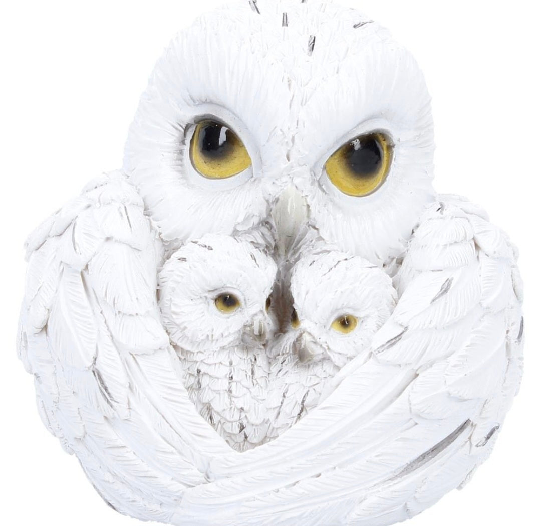 Feathered Nest 10.7cm
Feathered Nest Owl Figurne 10cm