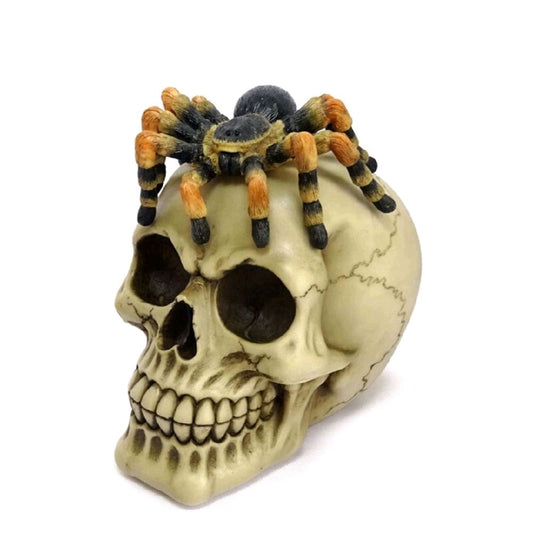 Skull with Spider Ornaments for Home Decor Decorative