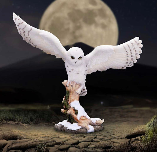 Snowfall 18cm
Snowfall - Majestic owl in winter scene
