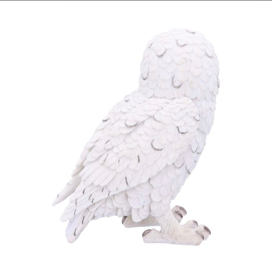Snowy Watch Large 20cm
Snowy Watch Large White Owl Ornament