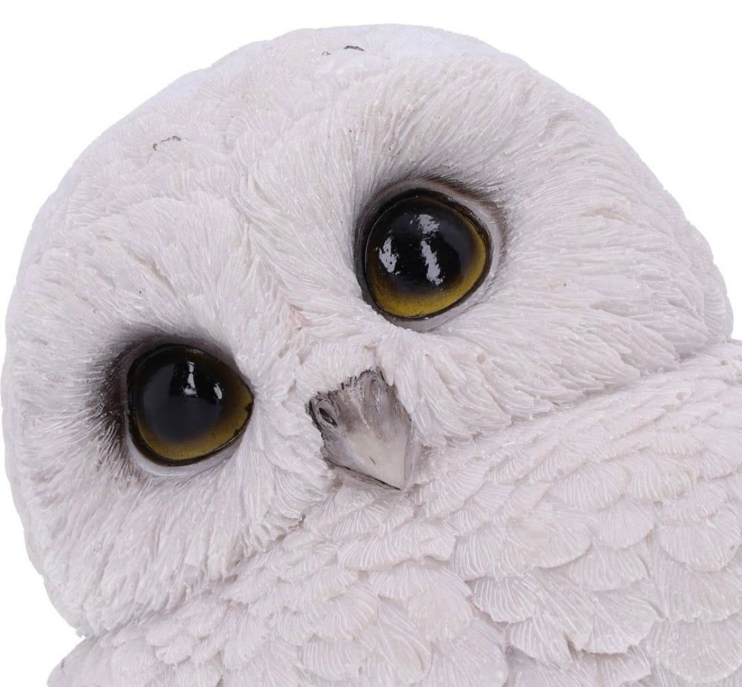 Feathers 12.5cm
Feathers Cute Round Snowy Owl Figurine