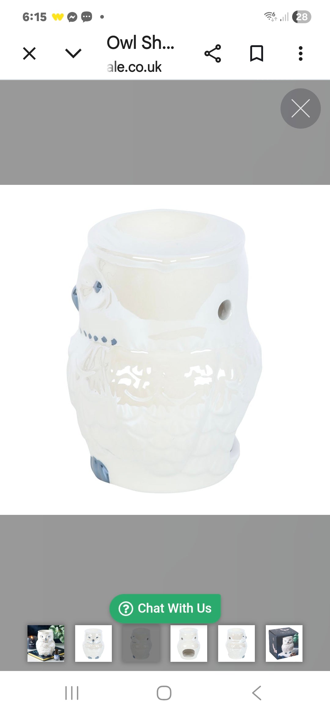 Owl Shaped Iridescent Oil Burner and Wax Warmer