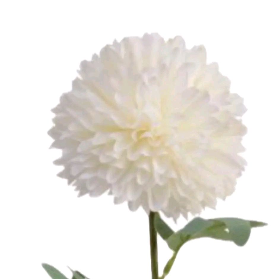Decorative White Hydrangea Flower on Stem, 60cm