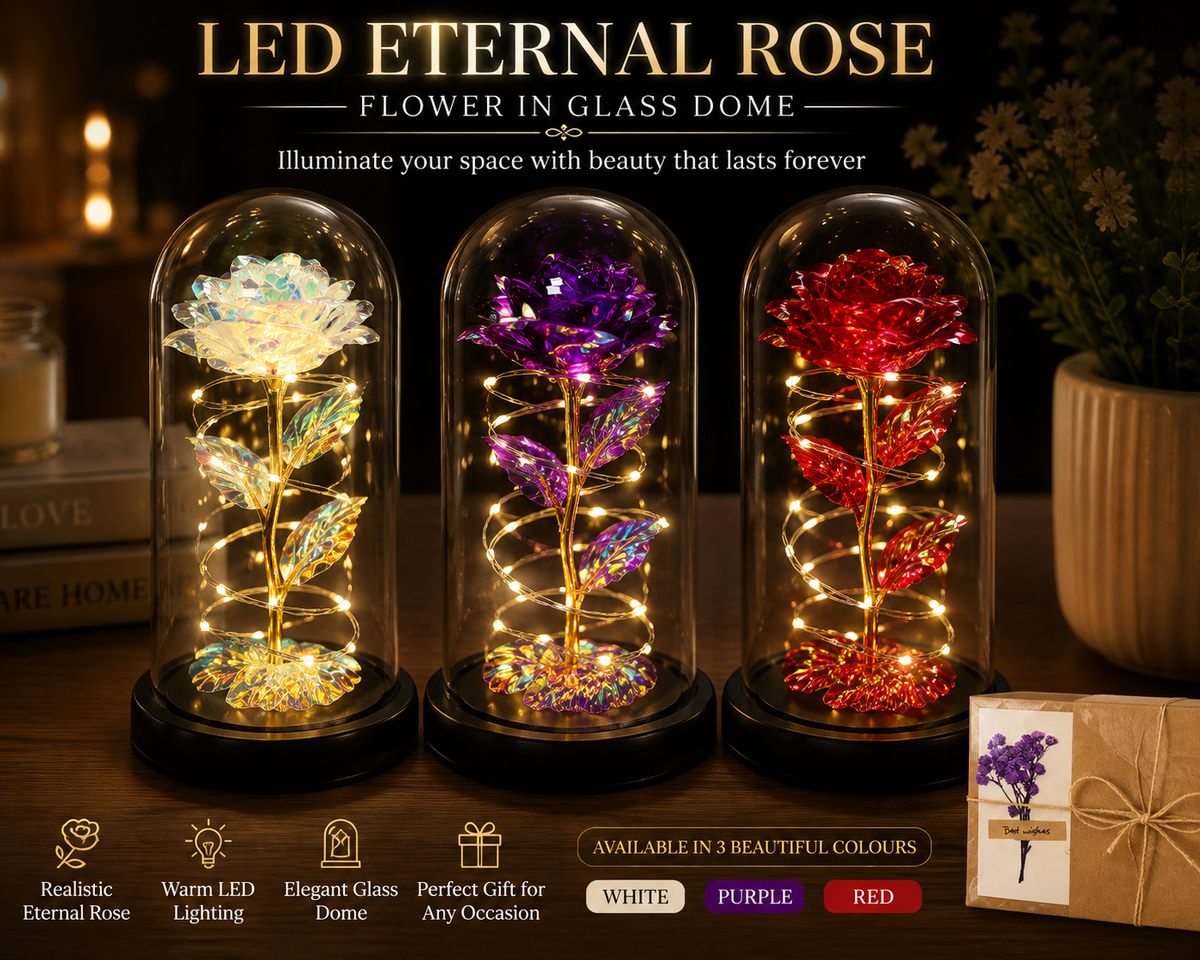 LED Eternal Rose Flower in Glass Dome
