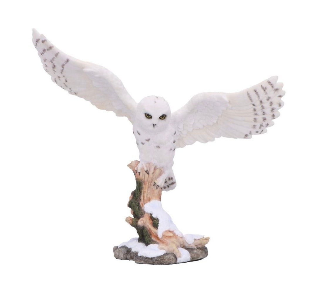 Snowfall 18cm
Snowfall - Majestic owl in winter scene