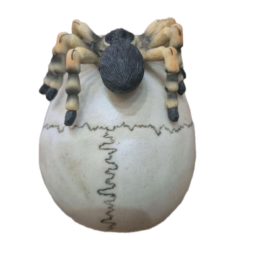 Skull with Spider Ornaments for Home Decor Decorative