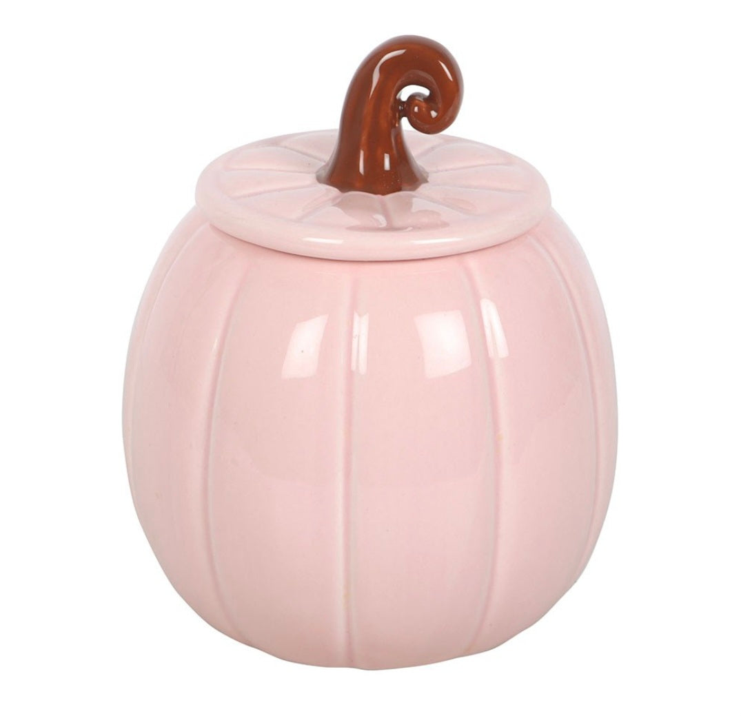Pink Curly Pumpkin Oil Burner