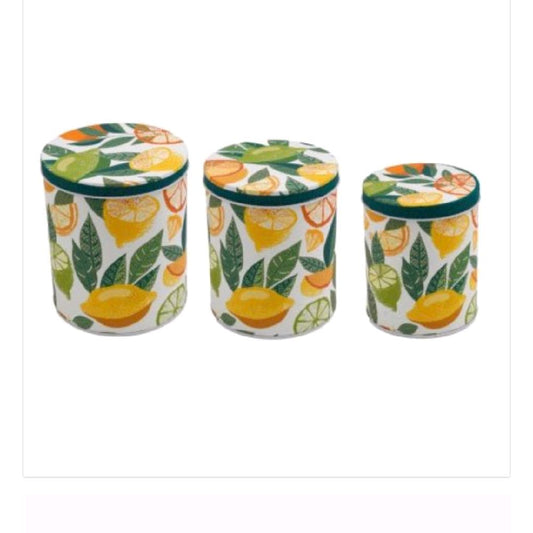 Set of 3 Citrus Round Storage Tins - Kitchen Organizer and Hanger Container