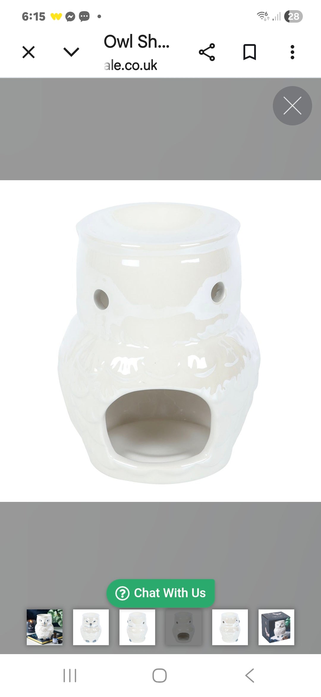 Owl Shaped Iridescent Oil Burner and Wax Warmer