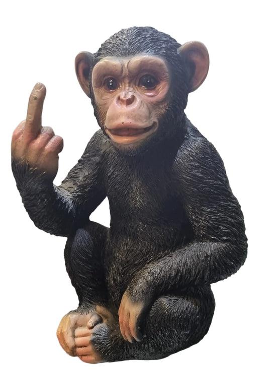 "Up Yours" Cheeky Monkey