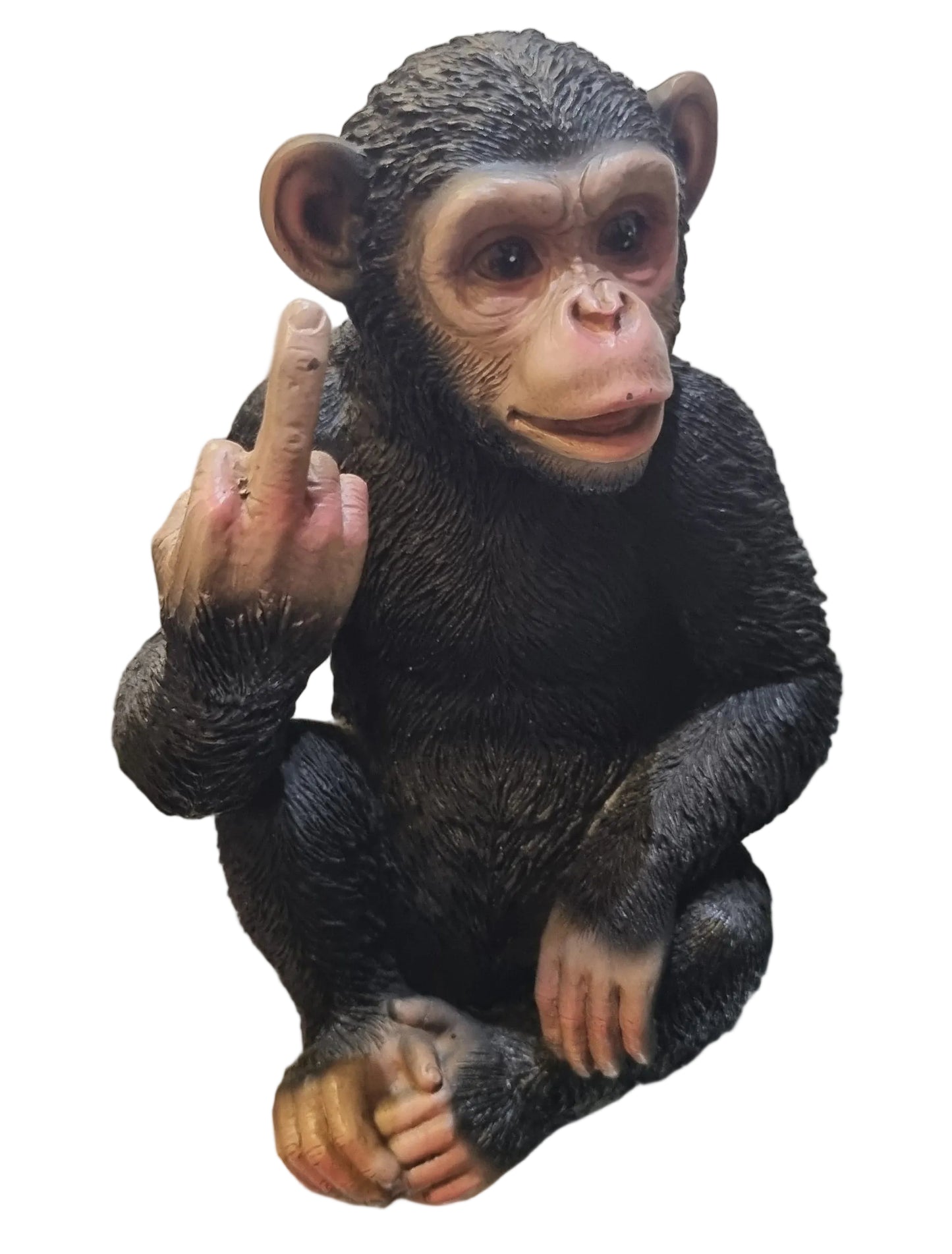 "Up Yours" Cheeky Monkey