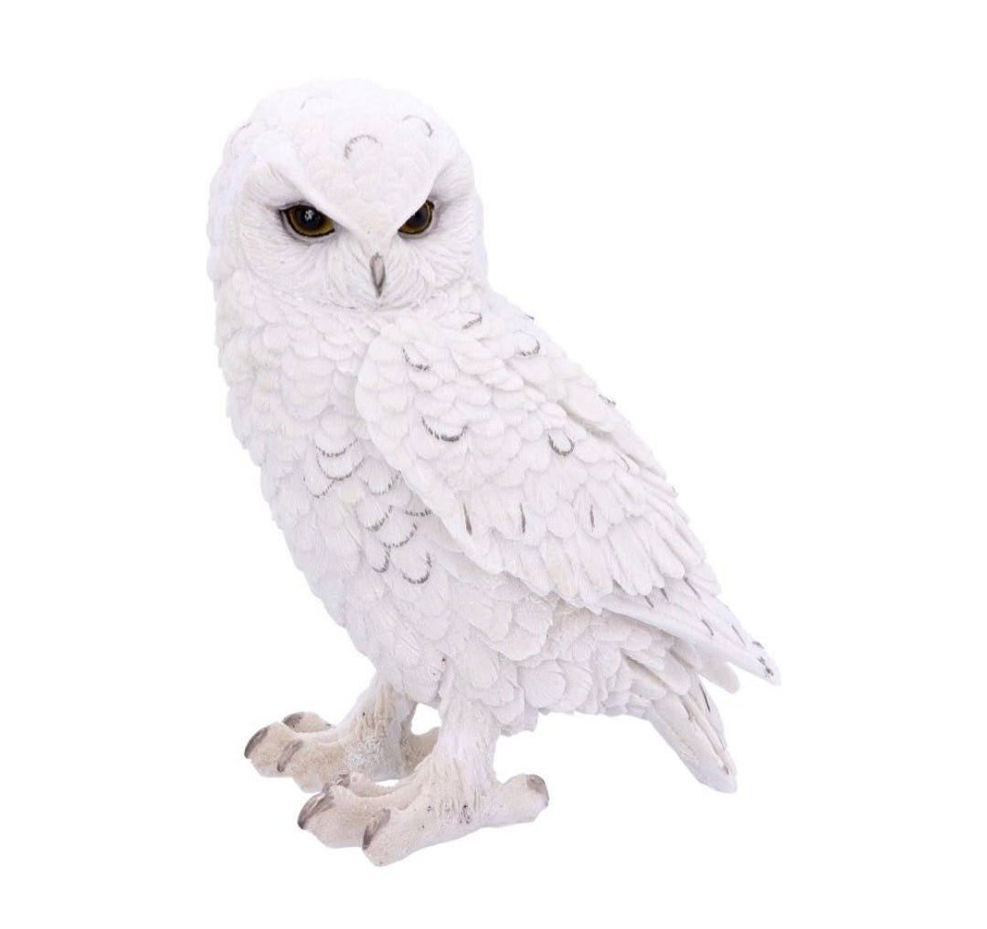 Snowy Watch Large 20cm
Snowy Watch Large White Owl Ornament