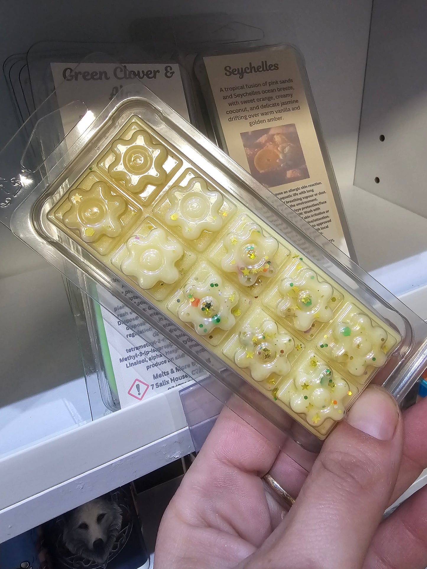 50g Scented Wax Melt Bars for Home Fragrance