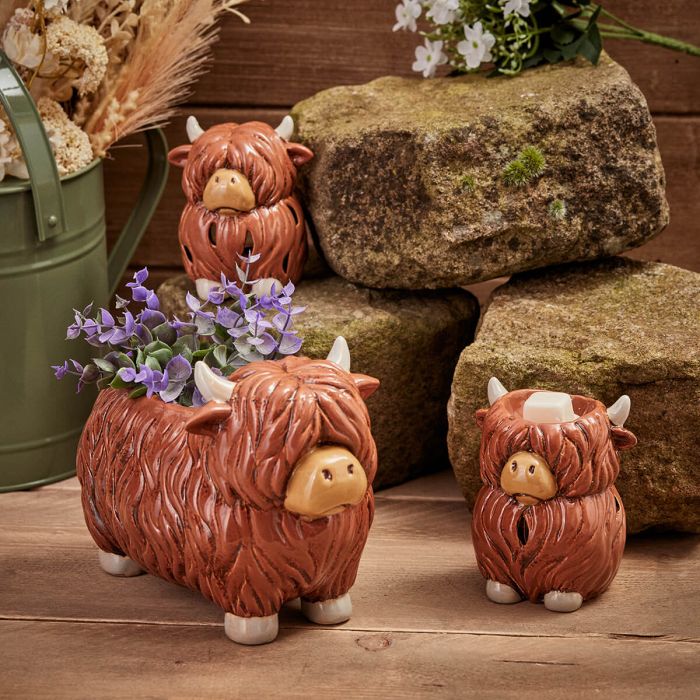 Douglas Highland Cow Wax Burner