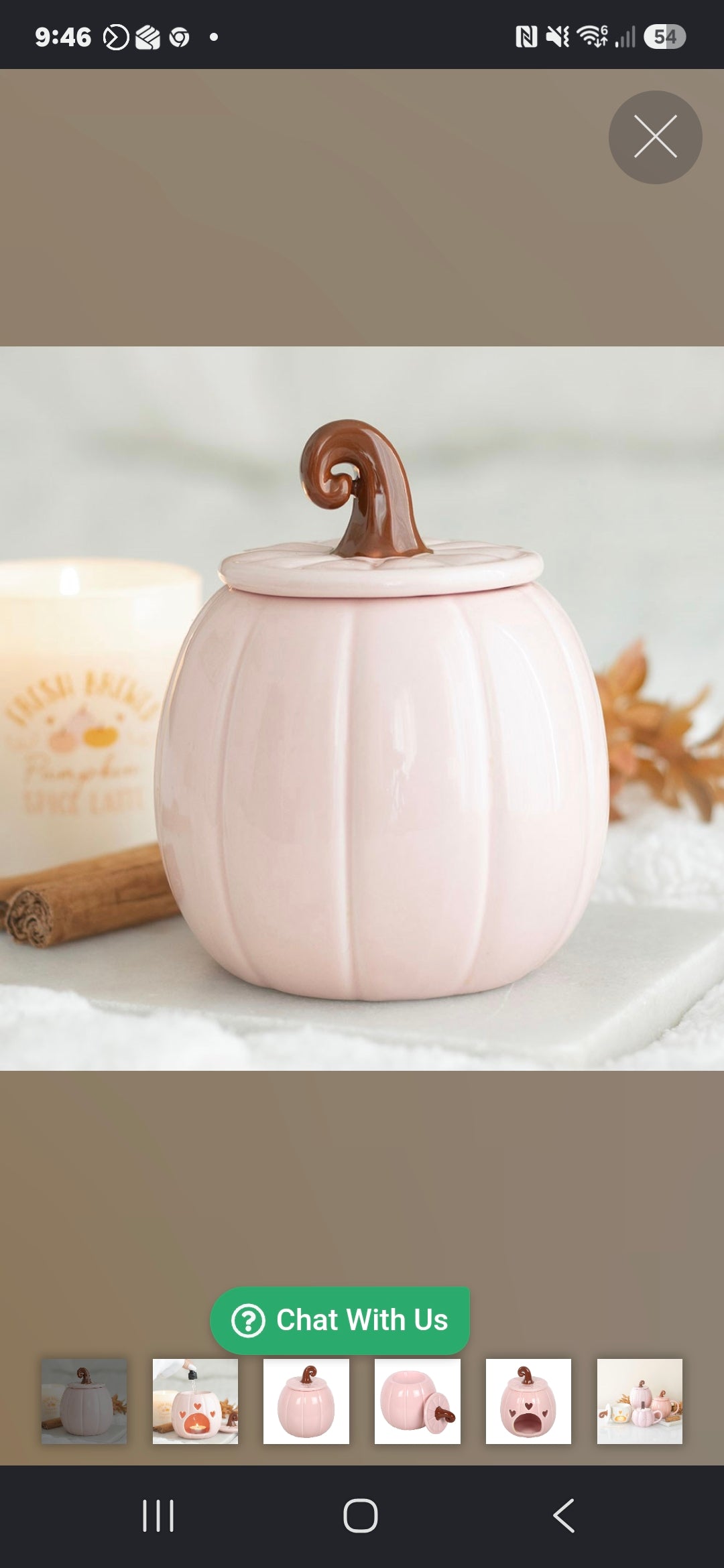 Pink Curly Pumpkin Oil Burner