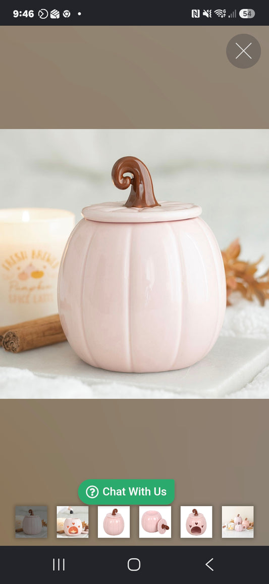 Pink Curly Pumpkin Oil Burner