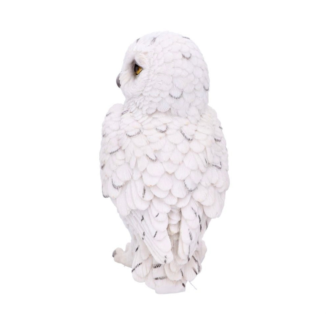 Snowy Watch Small 13.3cm
Snowy Watch Small White Owl Ornament