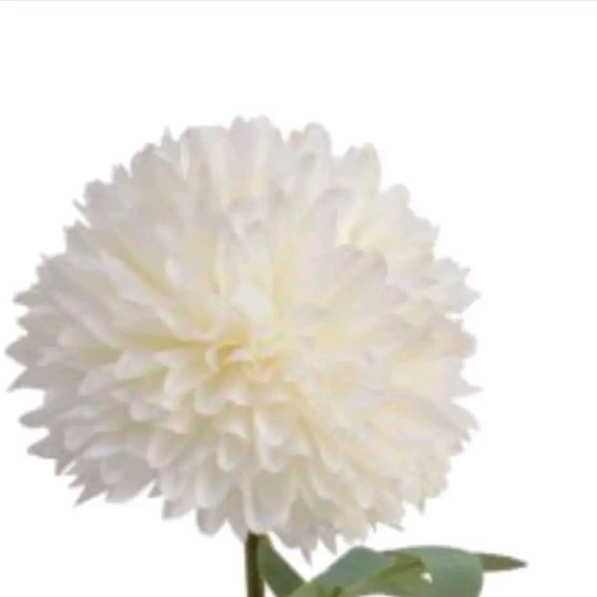 Decorative White Hydrangea Flower on Stem, 60cm