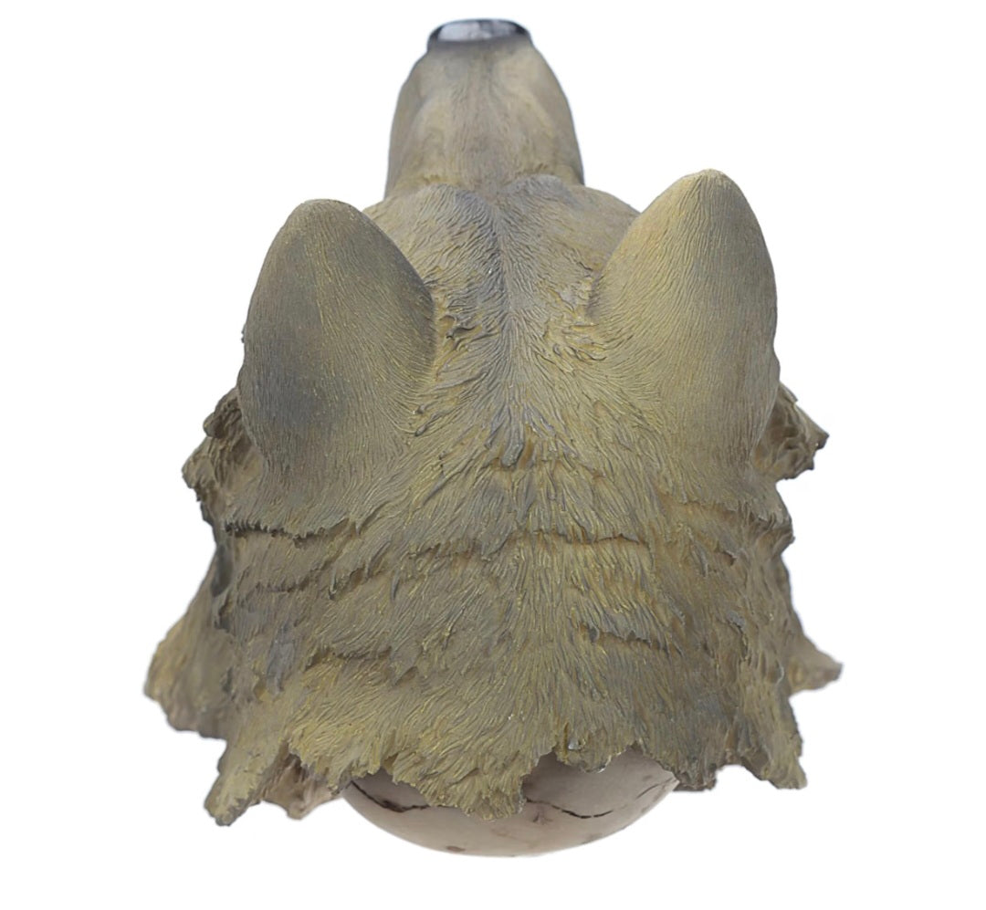 Skull with Wolf Head Decoration Ornament