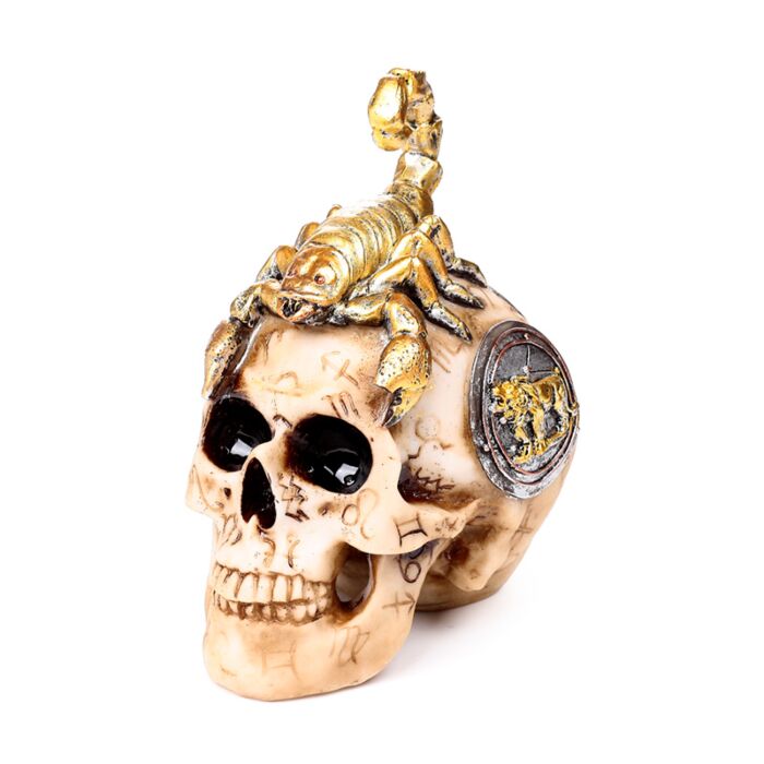 Scorpion Skull Statue