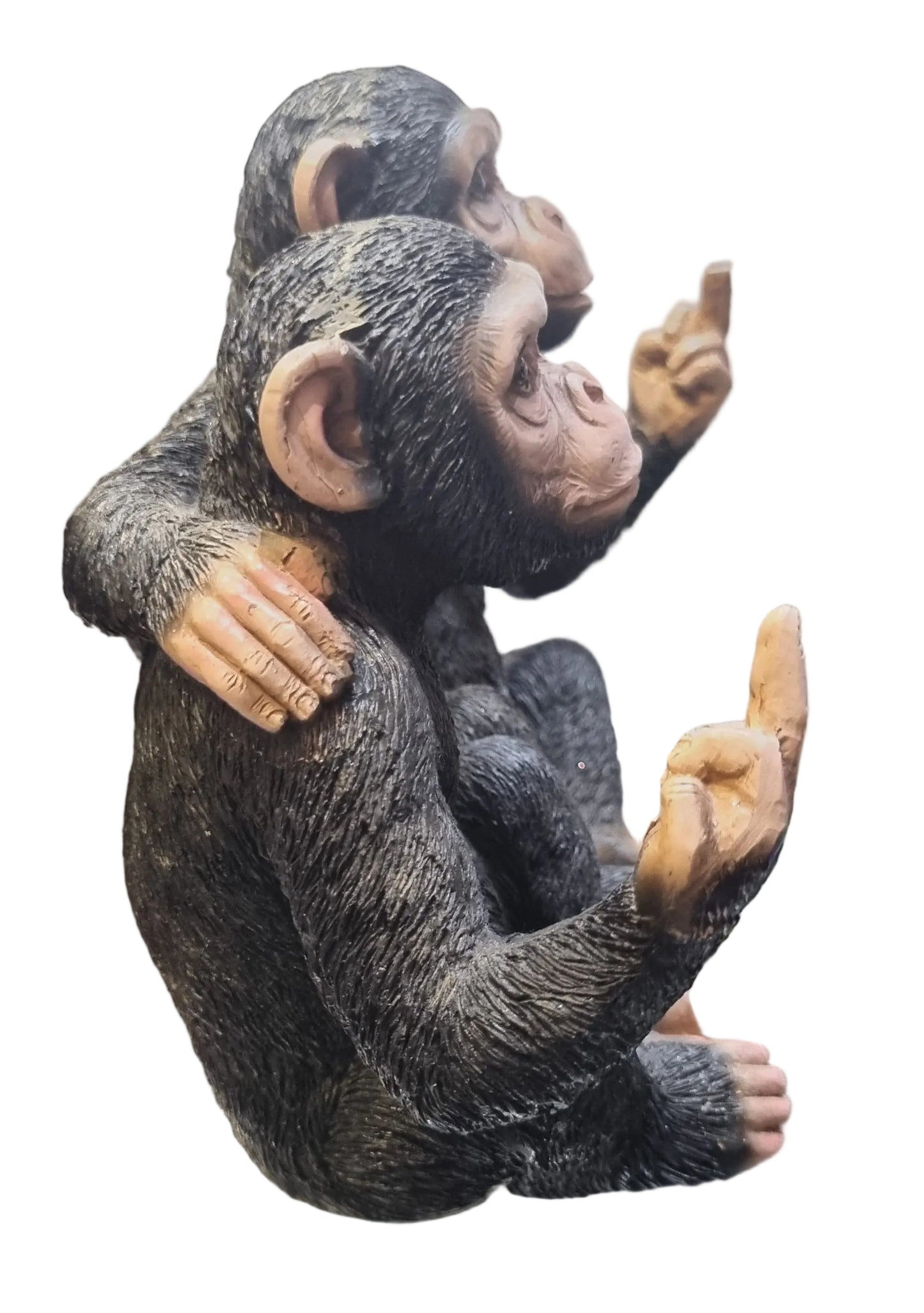 Twin Cheeky Monkeys