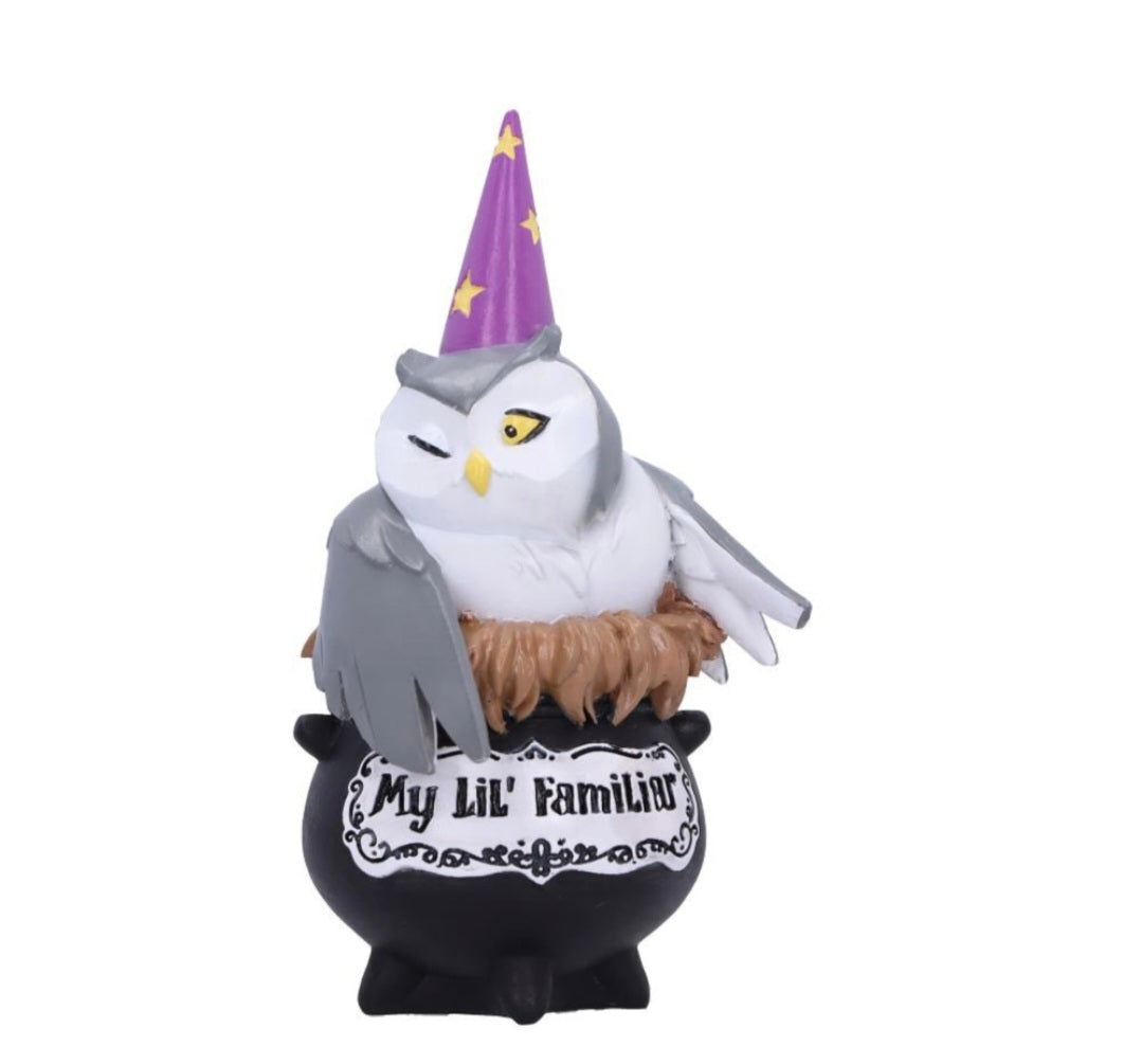 My Lil Familiar - Alden 11.5cm
My Lil Familiar - Alden Owl Figurine