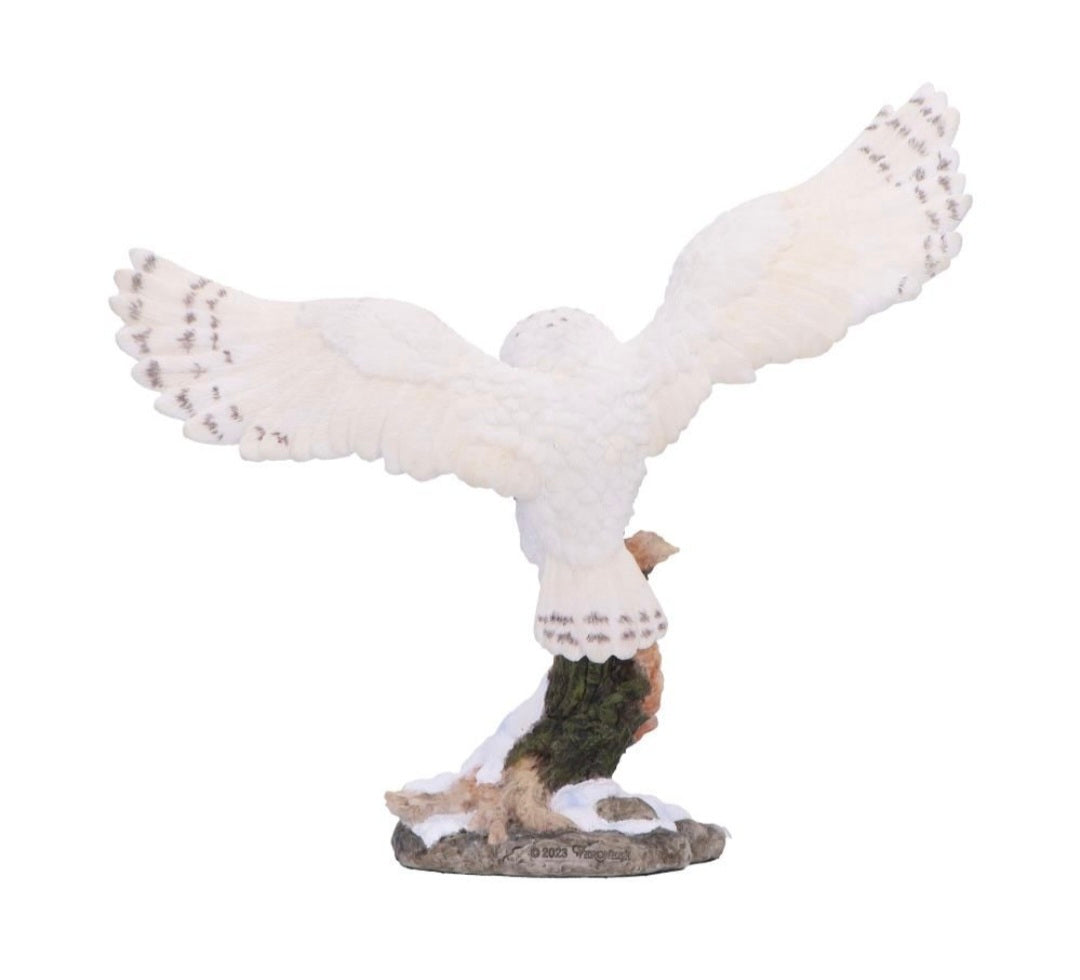 Snowfall 18cm
Snowfall - Majestic owl in winter scene