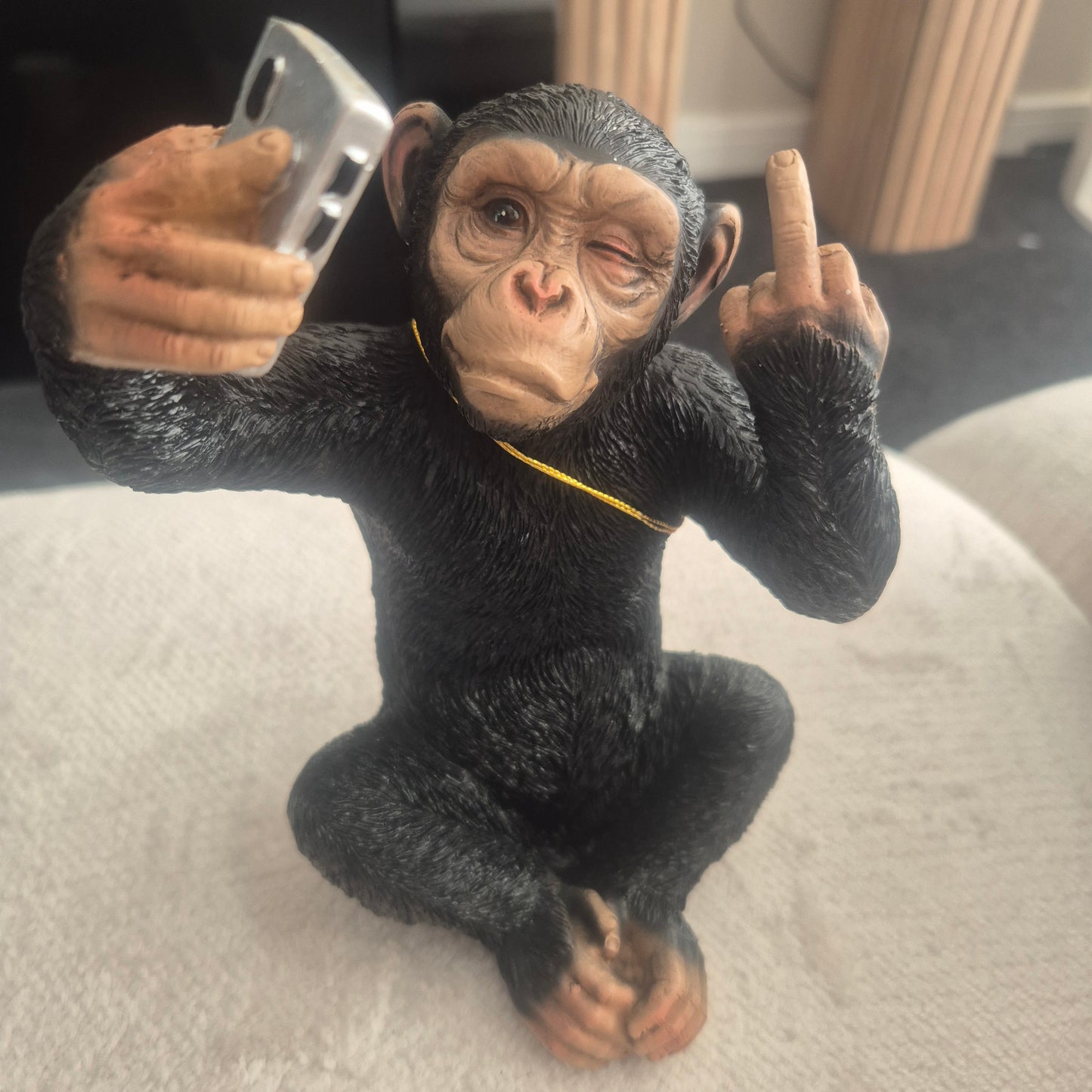 Selfie monkey with a finger up