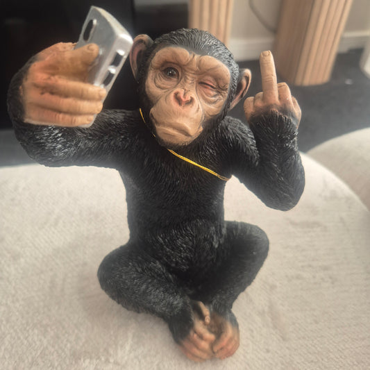 Selfie monkey with a finger up
