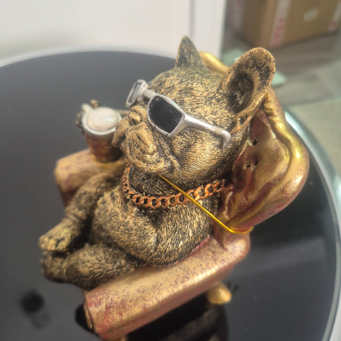 Frenchie relax