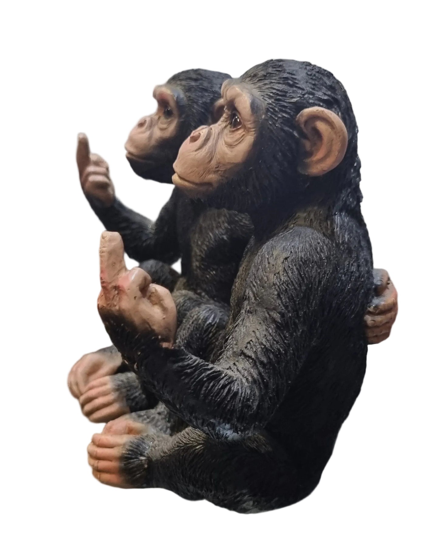 Twin Cheeky Monkeys