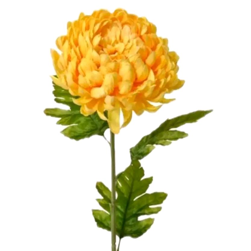 Decorative Chrysanthemum Yellow Flower on Stem, 74cm