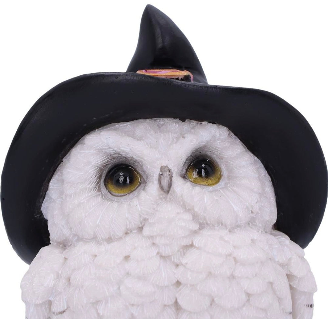Snowy Spells 9cm
Snowy Spells Owl Figurine 9cm