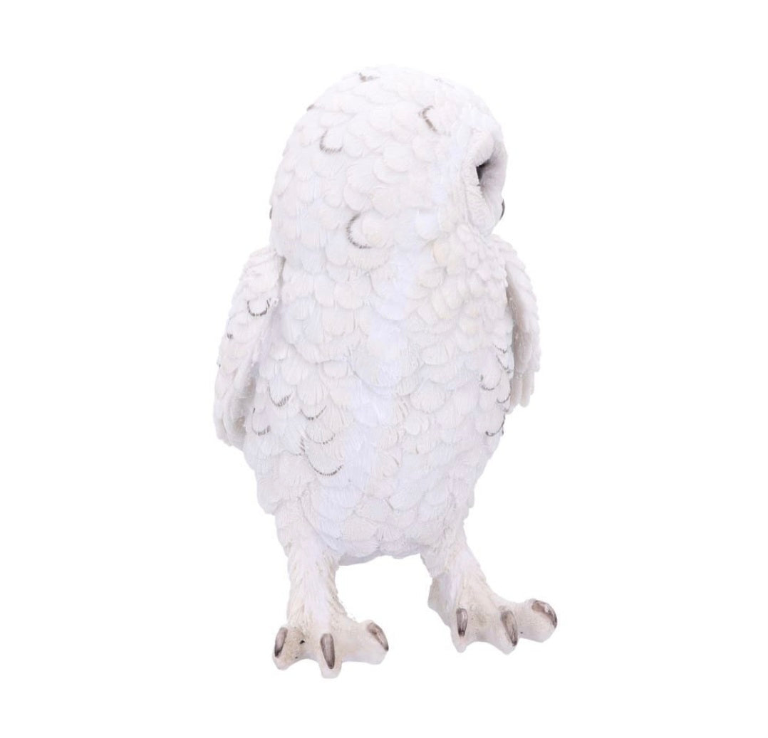Snowy Watch Large 20cm
Snowy Watch Large White Owl Ornament