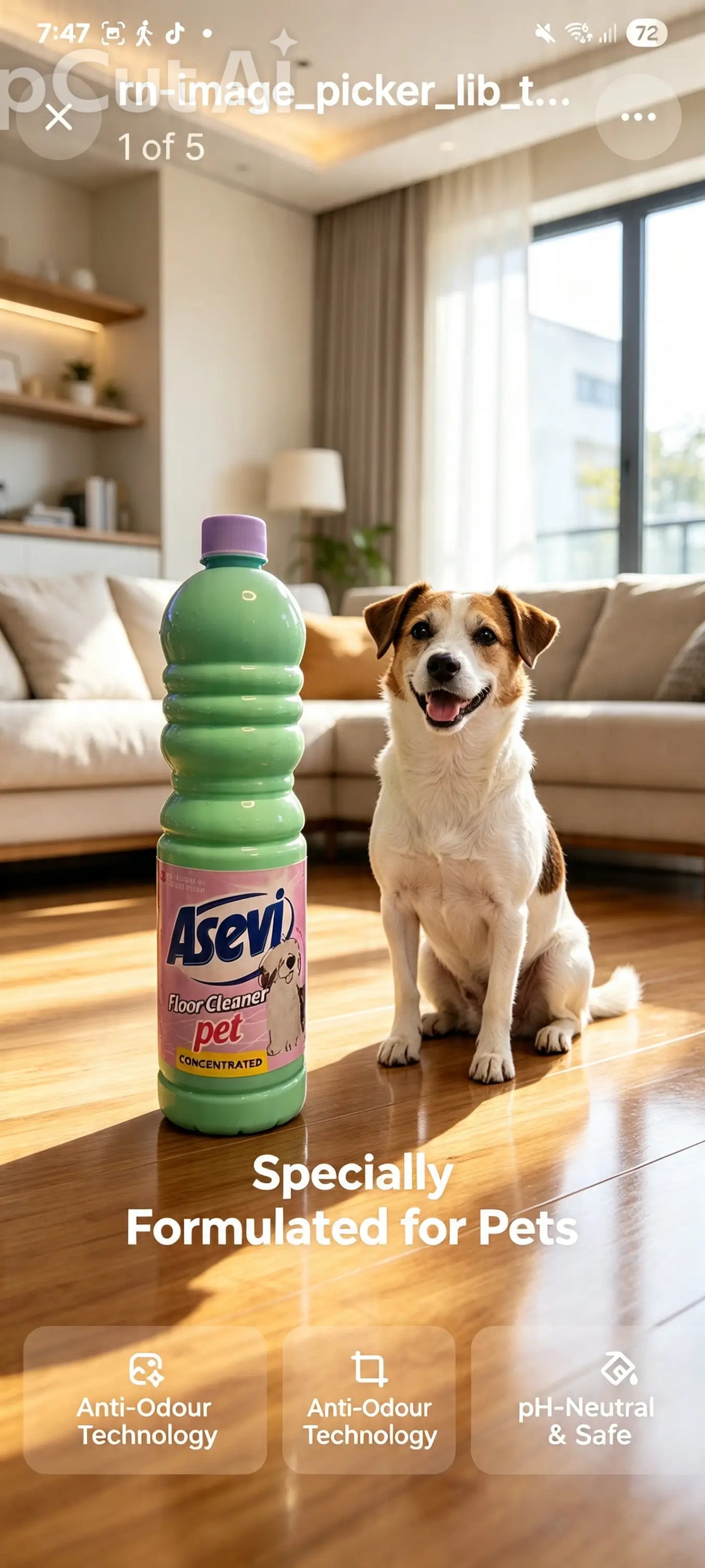 Asevi Pet Concentrated Floor Cleaner, 1L bottle.
