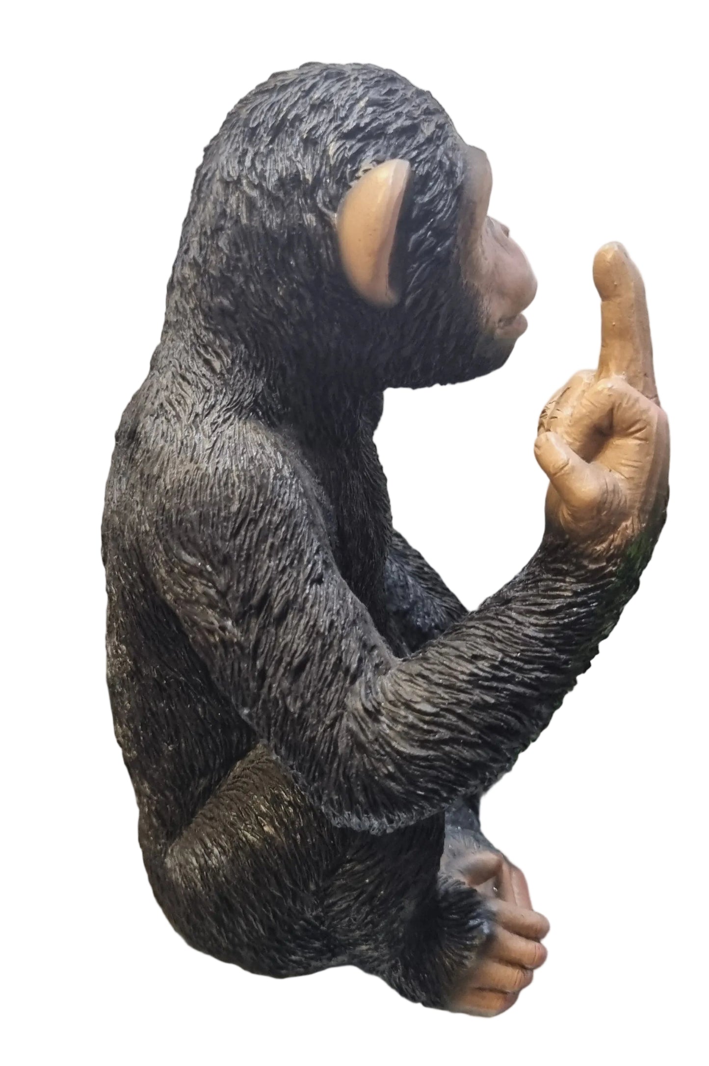 "Up Yours" Cheeky Monkey