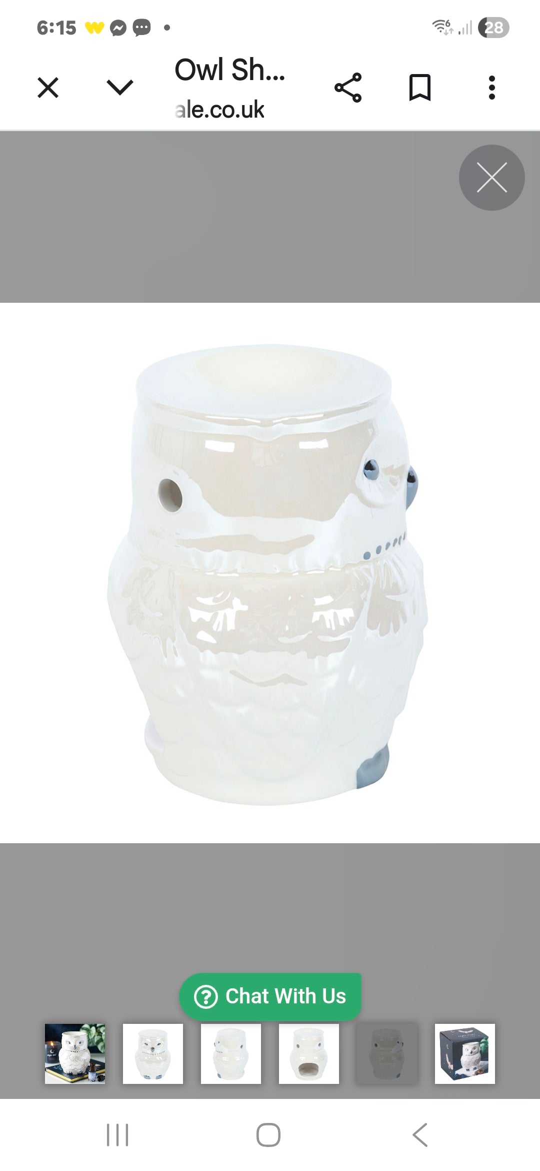 Owl Shaped Iridescent Oil Burner and Wax Warmer