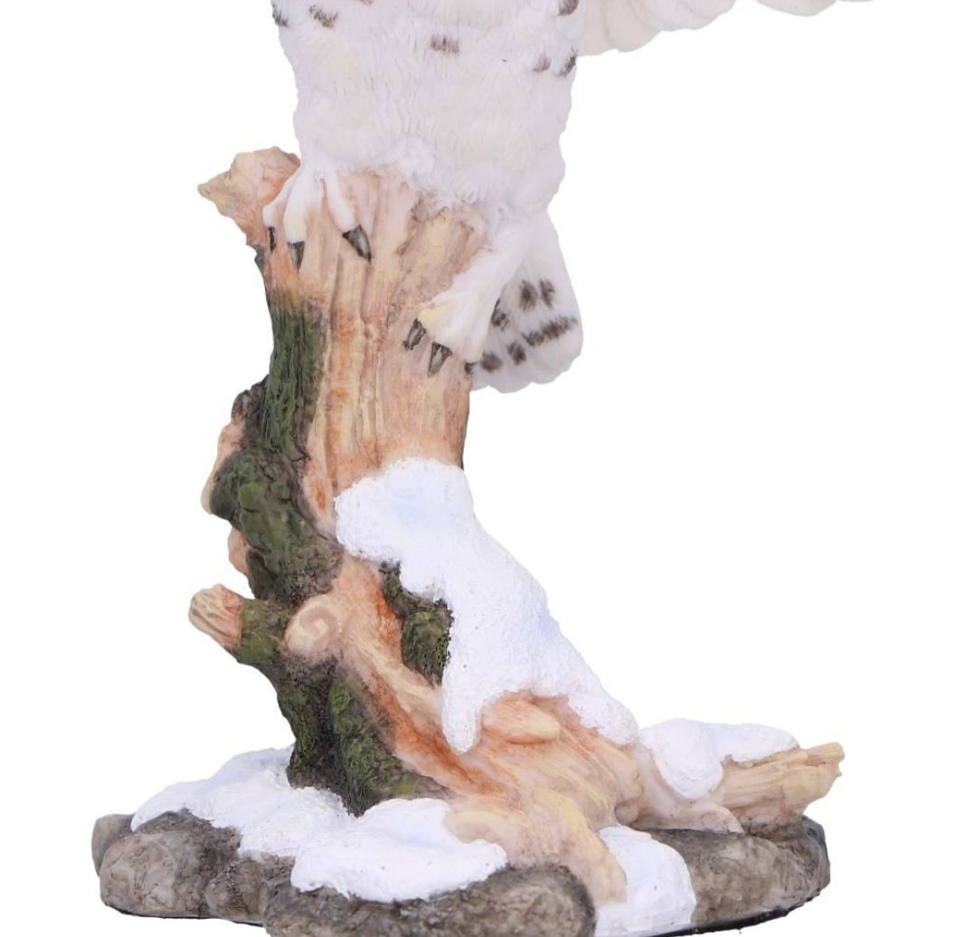 Snowfall 18cm
Snowfall - Majestic owl in winter scene
