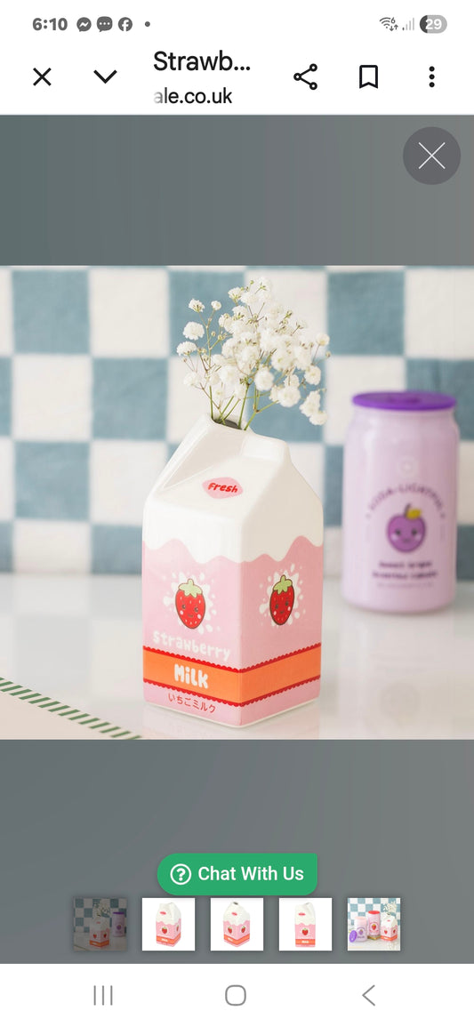 Strawberry Milk Carton Flower Vase