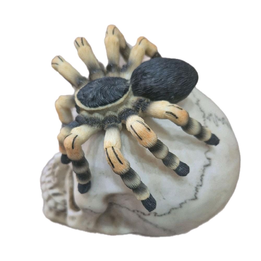 Skull with Spider Ornaments for Home Decor Decorative