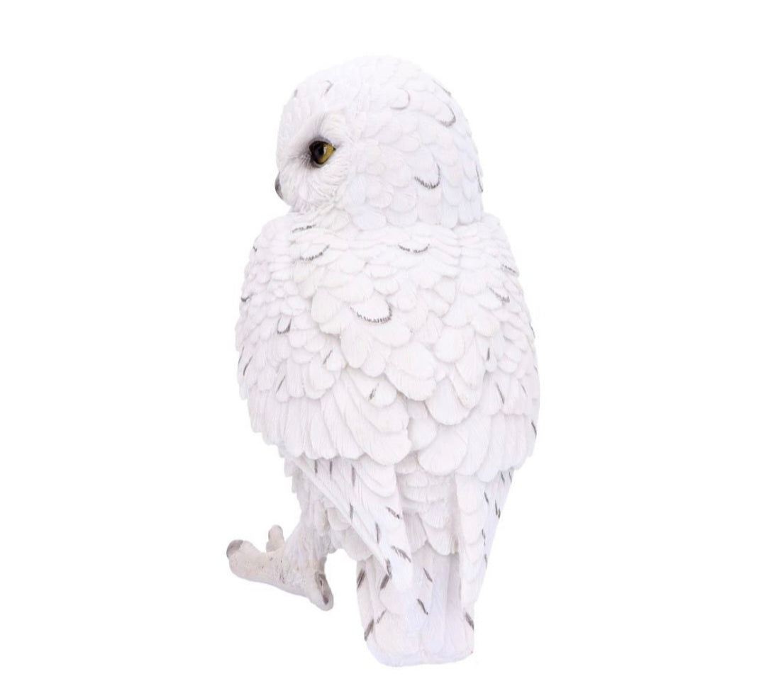 Snowy Watch Large 20cm
Snowy Watch Large White Owl Ornament