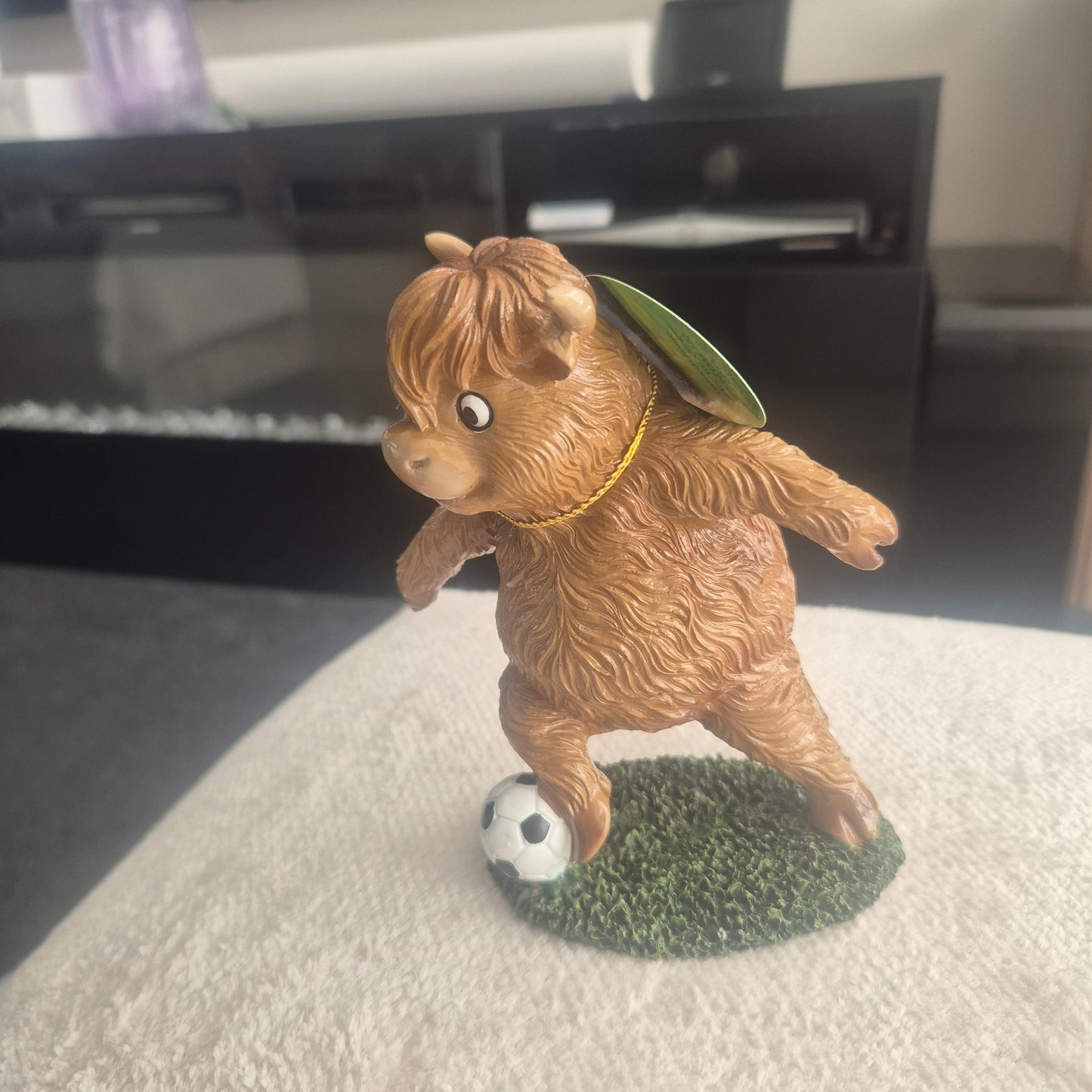 Football Highland cow