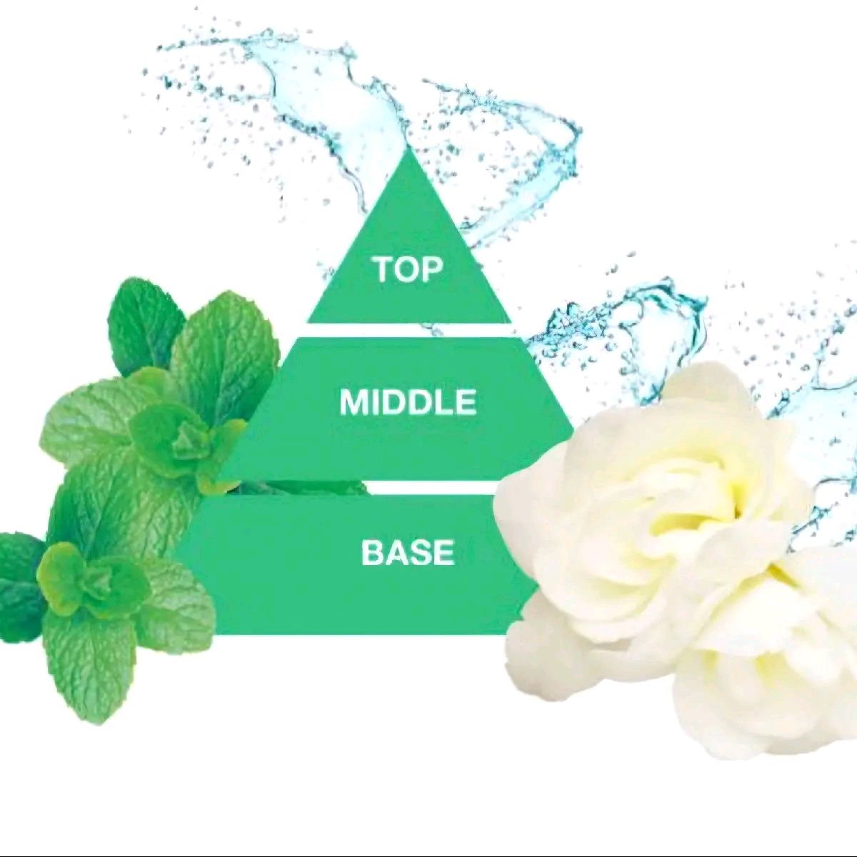 Felce azzurra summer bronze shower gel in water mint scent 250ml