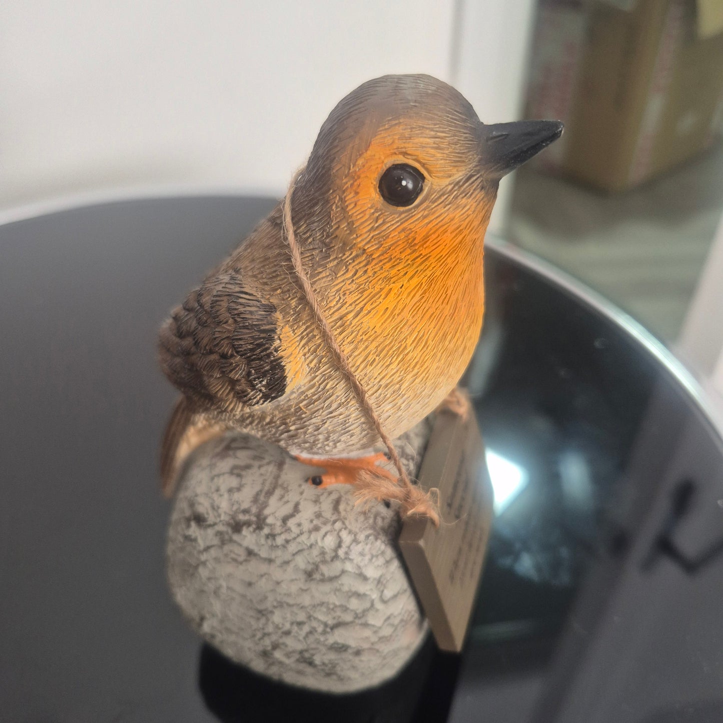 Robin on rock memorial