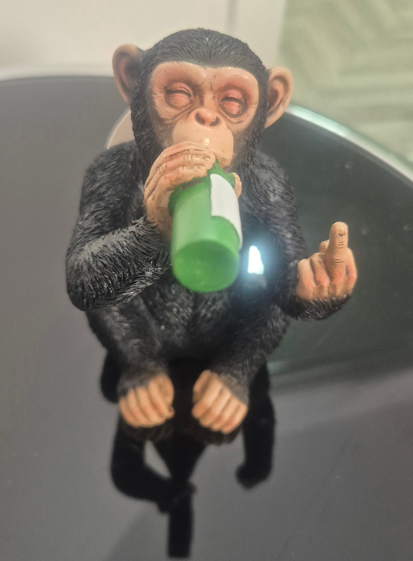 Cheeky monkey driinking