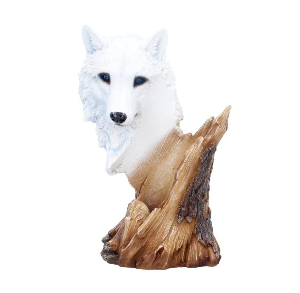 Pour of the Wild 25cm
Pour of the Wild Wine Bottle Holder 26cm